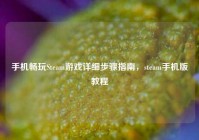 手机畅玩Steam游戏详细步骤指南，steam手机版教程