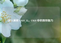 深入解析 CSGO_LL，CSGO 中的独特魅力