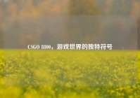CSGO 8800，游戏世界的独特符号