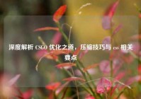 深度解析 CSGO 优化之道，压缩技巧与 css 相关要点