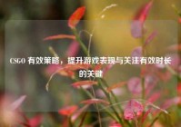 CSGO 有效策略，提升游戏表现与关注有效时长的关键