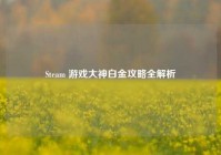 Steam 游戏大神白金攻略全解析