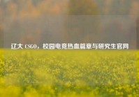 辽大 CSGO，校园电竞热血篇章与研究生官网