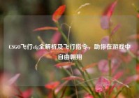 CSGO飞行cfg全解析及飞行指令，助你在游戏中自由翱翔