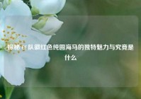 探秘 Cf 队徽红色纯圆海马的独特魅力与究竟是什么