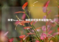 探索Steam Raw，领略游戏世界原始魅力