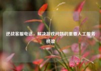 逆战客服电话，解决游戏问题的重要人工服务桥梁