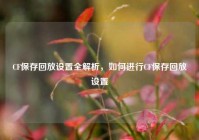 CF保存回放设置全解析，如何进行CF保存回放设置