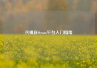 兵棋在Steam平台入门指南