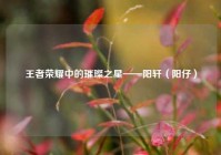 王者荣耀中的璀璨之星——阳轩（阳仔）