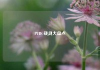 PUBG载具大盘点