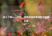 深入了解Steam资料，探索游戏世界钥匙及数据位置
