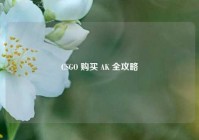 CSGO 购买 AK 全攻略