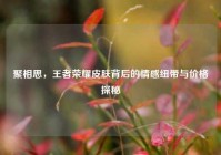 聚相思，王者荣耀皮肤背后的情感纽带与价格探秘