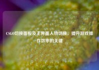 CSGO切换面板及主界面人物切换，提升游戏操作效率的关键