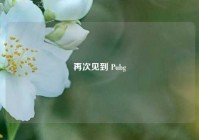 再次见到 Pubg