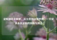 淀粉别名全解析，从分类到日常妙用，一文说清各类淀粉的别称与用法