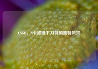 CSGO，N卡滤镜下刀妹的独特风采