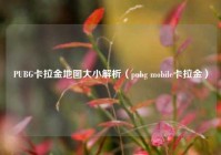 PUBG卡拉金地图大小解析（pubg mobile卡拉金）