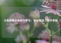 王者荣耀水晶射手教学，掌控战场，百步穿杨