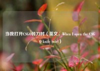当我打开CSGO转刀时（英文，When I open the CSGO knife twirl）