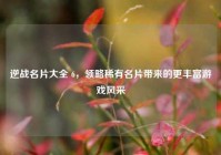 逆战名片大全 6，领略稀有名片带来的更丰富游戏风采