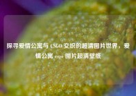 探寻爱情公寓与 CSGO 交织的超清图片世界，爱情公寓 csgo 图片超清壁纸