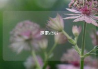 探索cf2325