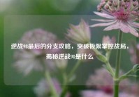 逆战98最后的分支攻略，突破极限掌控战局，揭秘逆战98是什么