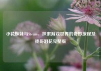 小花妹妹与Steam，探索游戏世界的奇妙旅程及找哥泪花完整版