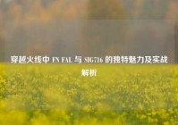 穿越火线中 FN FAL 与 SIG716 的独特魅力及实战解析