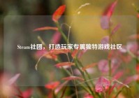 Steam社团，打造玩家专属独特游戏社区