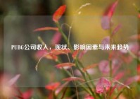 PUBG公司收入，现状、影响因素与未来趋势