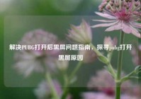 解决PUBG打开后黑屏问题指南，探寻pubg打开黑屏原因