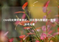 CSGO闪光弹效果测试，闪光弹与墨镜这一独特游戏元素
