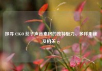探寻 CSGO 茄子声音素材的独特魅力、多样用途及相关 yy