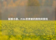 板娘小薇，PUBG世界里的独特风景线