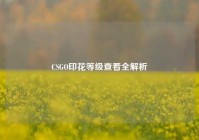 CSGO印花等级查看全解析
