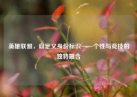 英雄联盟，自定义身份标识——个性与竞技的独特融合