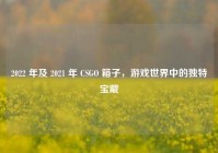 2022 年及 2021 年 CSGO 箱子，游戏世界中的独特宝藏