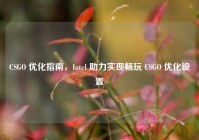 CSGO 优化指南，Intel 助力实现畅玩 CSGO 优化设置