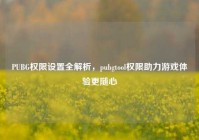 PUBG权限设置全解析，pubgtool权限助力游戏体验更随心