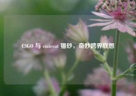 CSGO 与 coziecat 猫砂，奇妙跨界联想