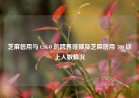芝麻信用与 CSGO 的跨界碰撞及芝麻信用 700 以上人数情况