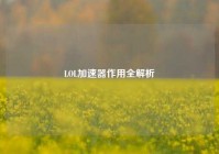LOL加速器作用全解析