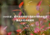 CSGO认证，提升游戏体验与竞技水平的必经之路及实名认证疑问