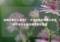 选调生是什么意思？一文讲透这份特殊公职选择的来龙去脉及相关职位情况