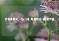 我的电竞梦，与CF战队并肩燃烧的热血青春