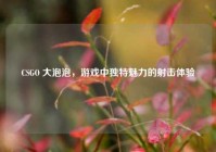 CSGO 大泡泡，游戏中独特魅力的射击体验
