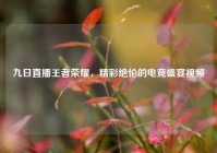 九日直播王者荣耀，精彩绝伦的电竞盛宴视频